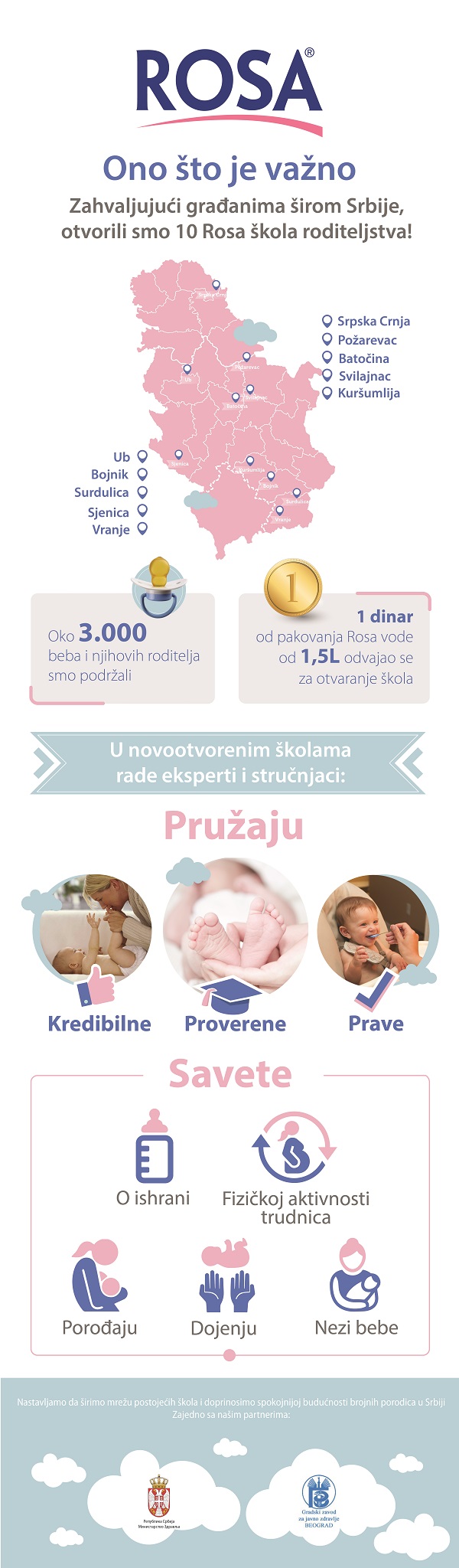 Rosa infografika 1