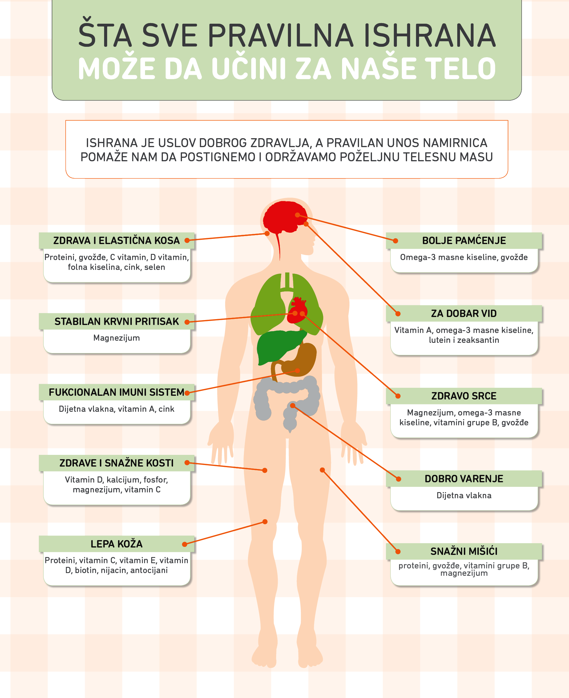 Sta sve pravilna ishrana moze da ucni za nase telo